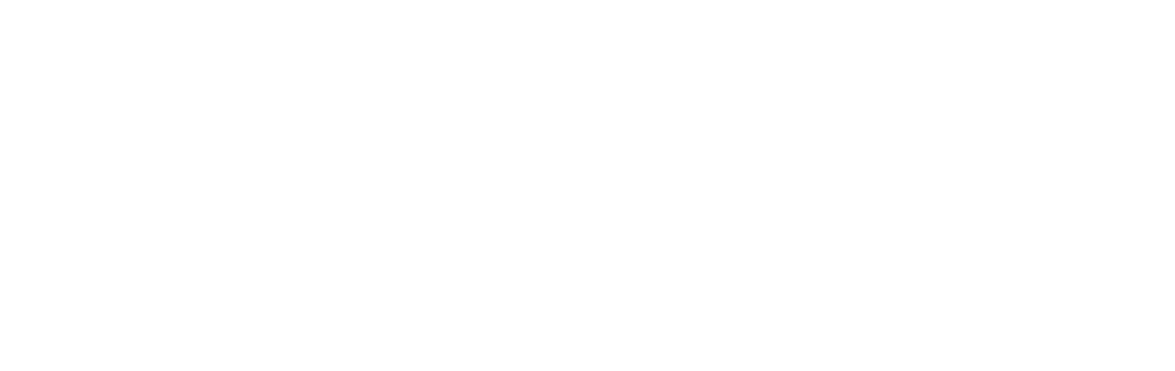 The Fifth Estate