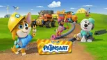thumbnail - Patinşaat