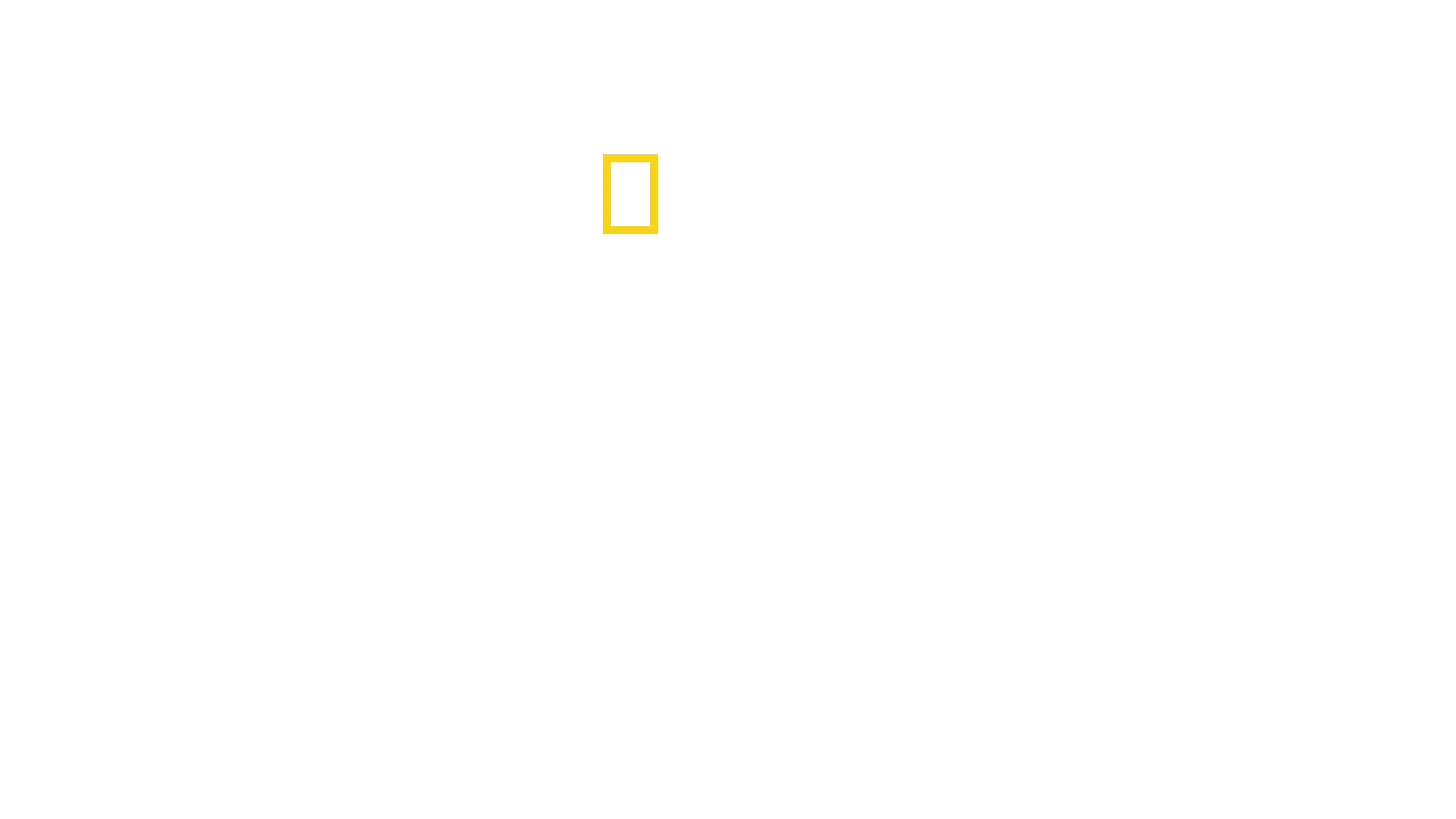 Arctic Ascent with Alex Honnold