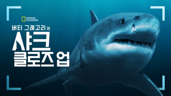 thumbnail - 버티 그레고리의 샤크 클로즈 업