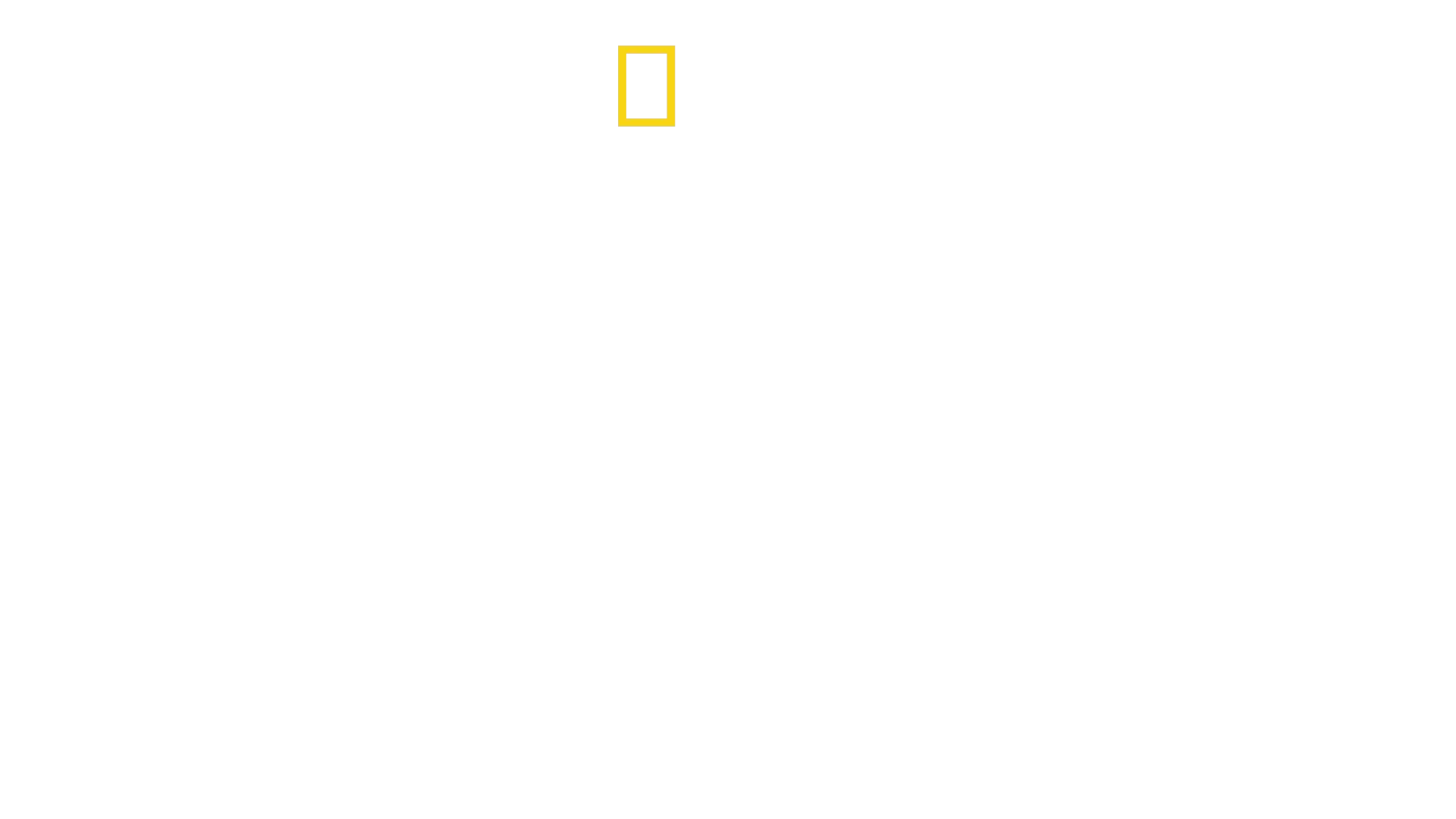 Isla salvaje