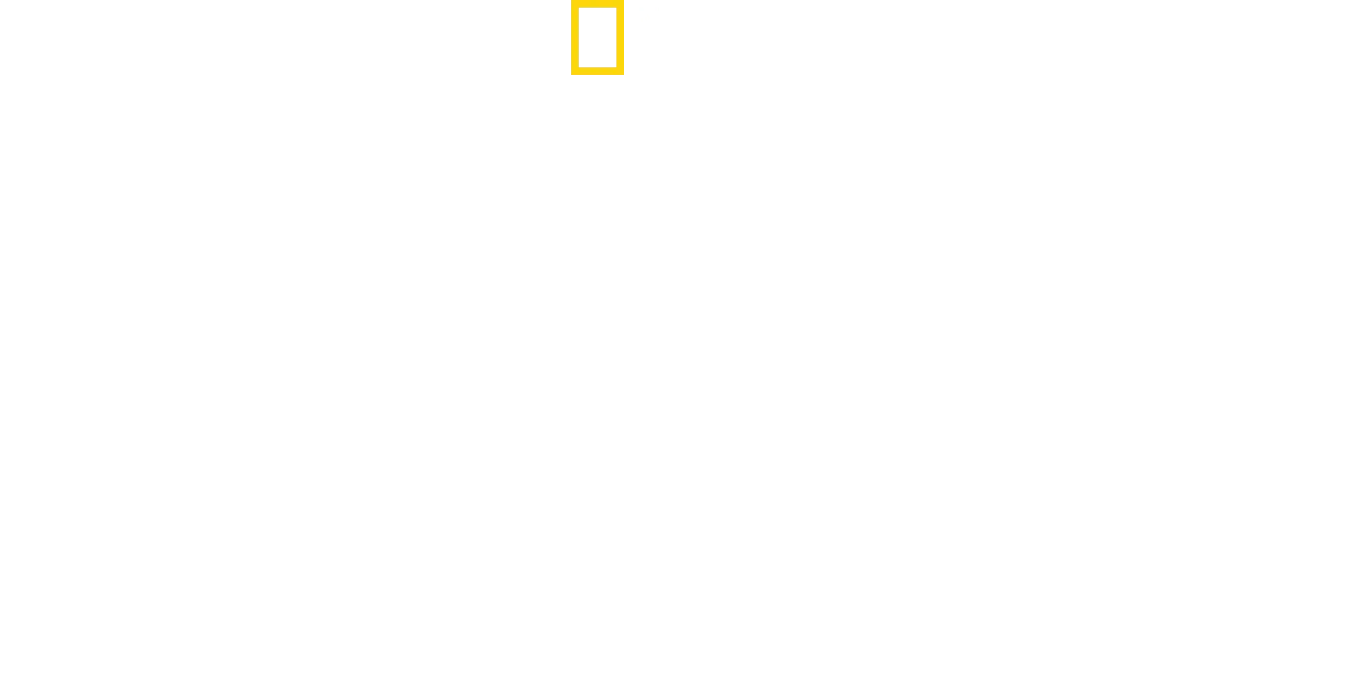 Isla salvaje