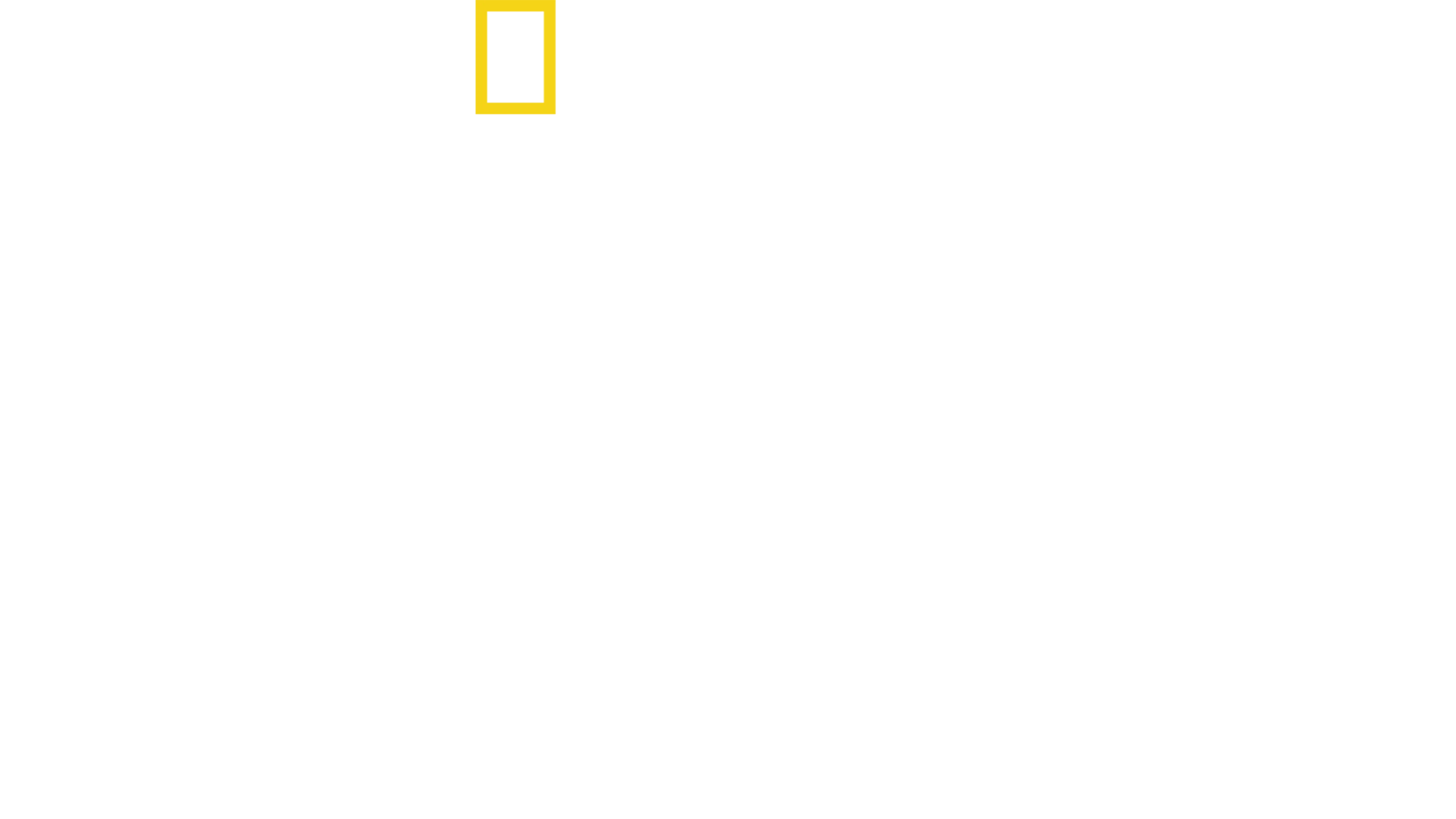 II. világháború: A vadon túlélői