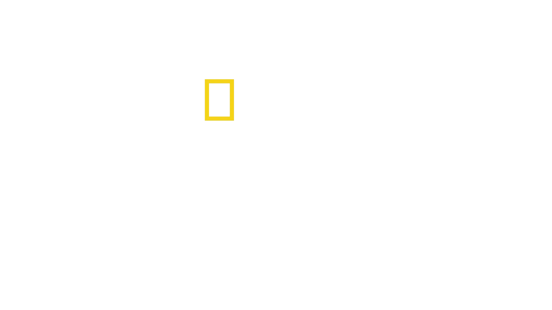 Trafficked with Mariana van Zeller
