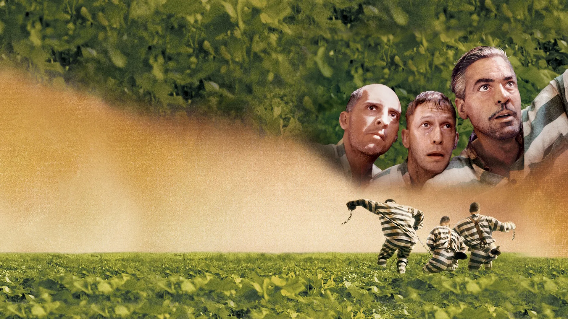 O Brother, Where Art Thou?