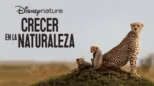 thumbnail - Crecer en la naturaleza