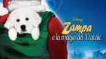 thumbnail - Zampa e la Magia del Natale