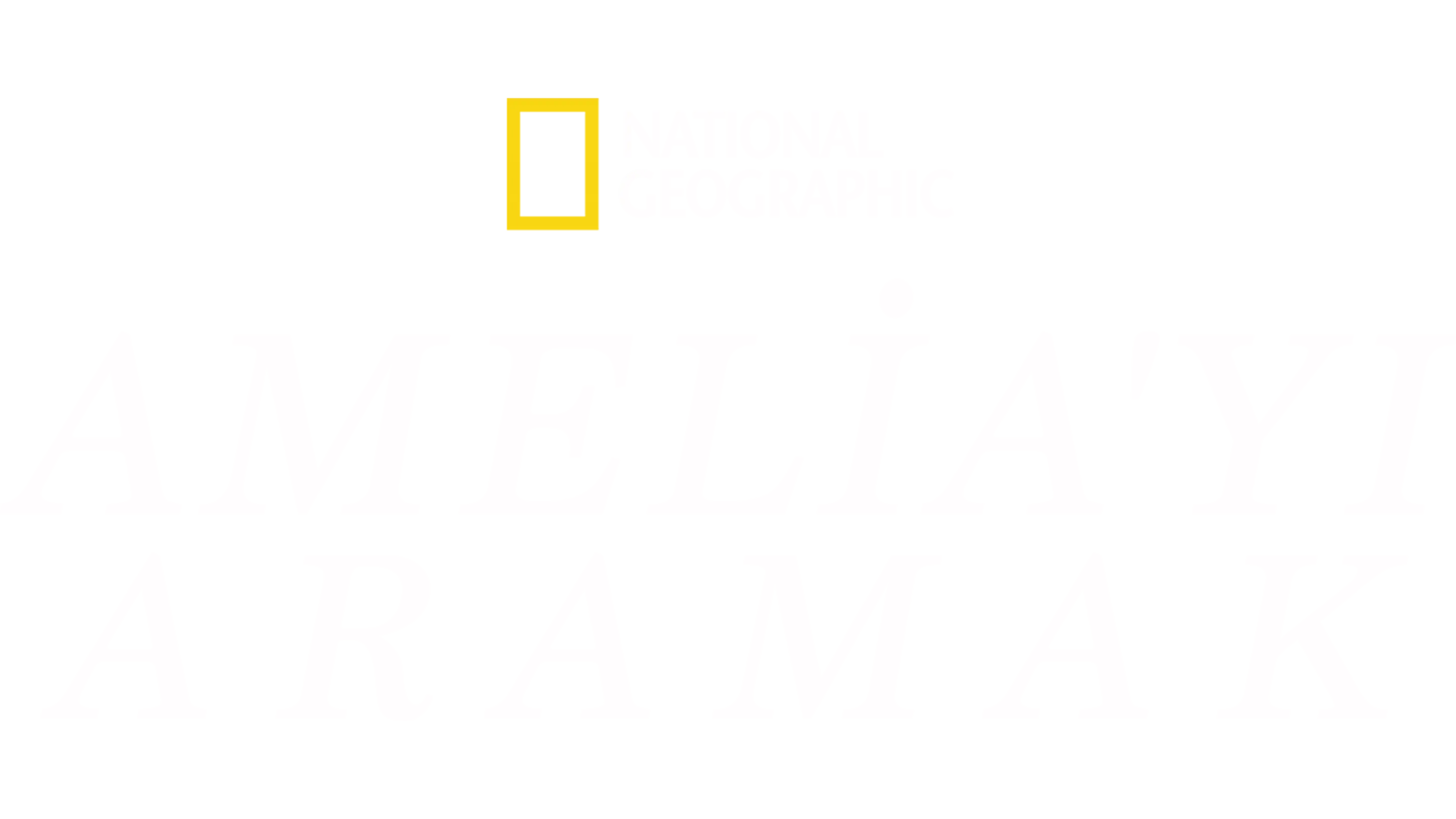 Amelia'yı Aramak