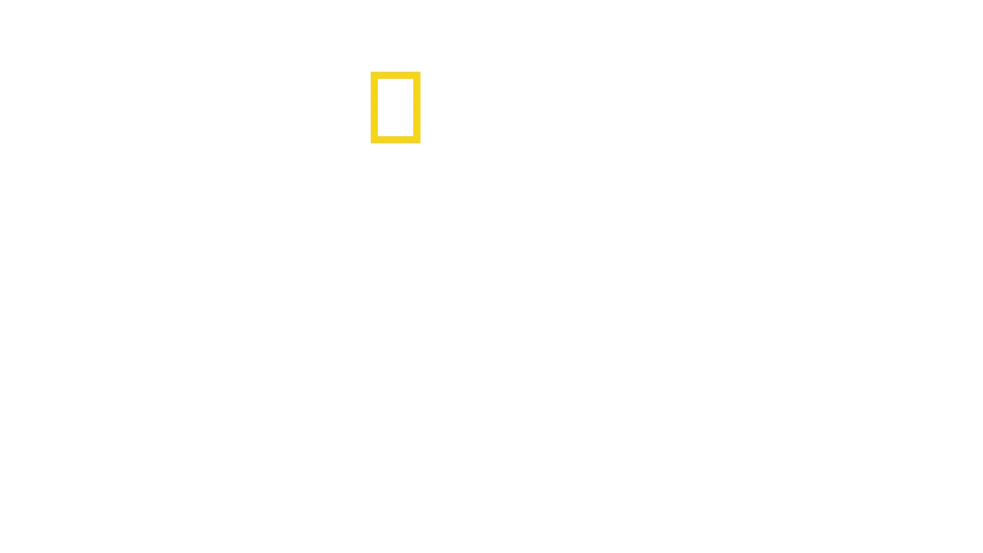 Meet the Chimps