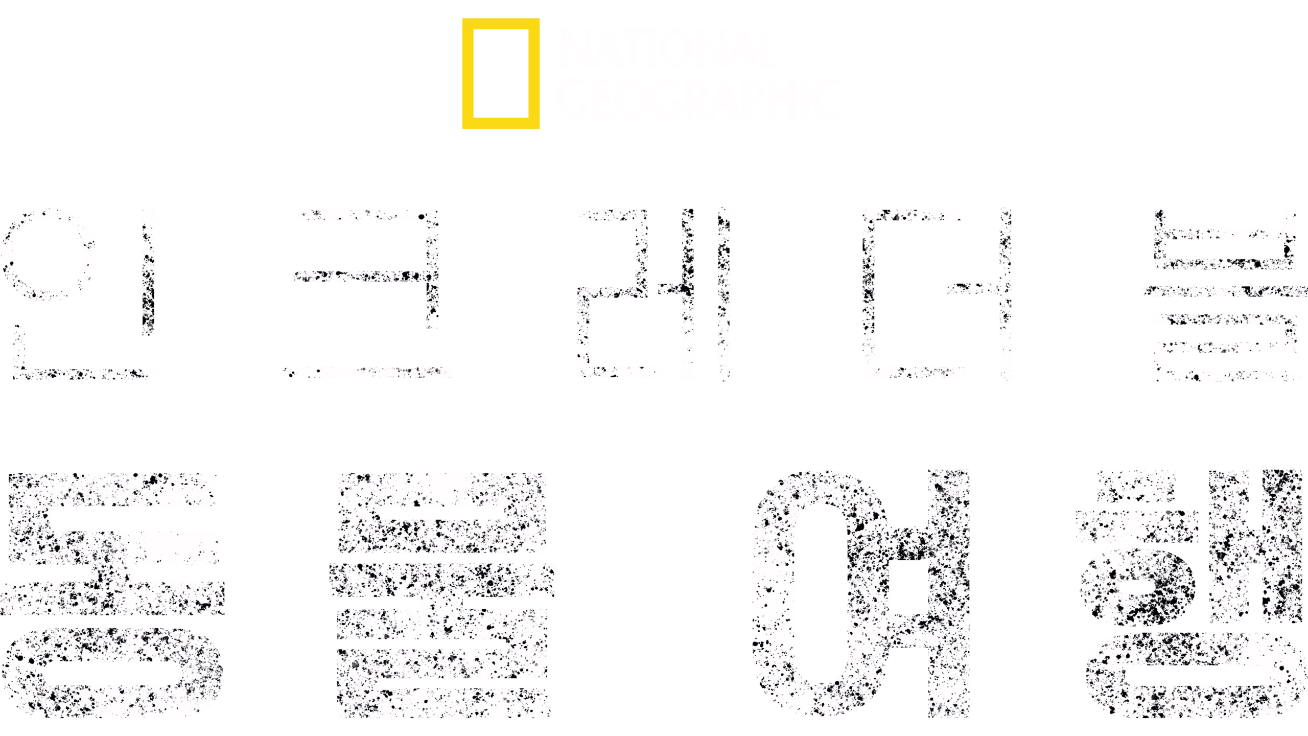 인크레더블 동물 여행