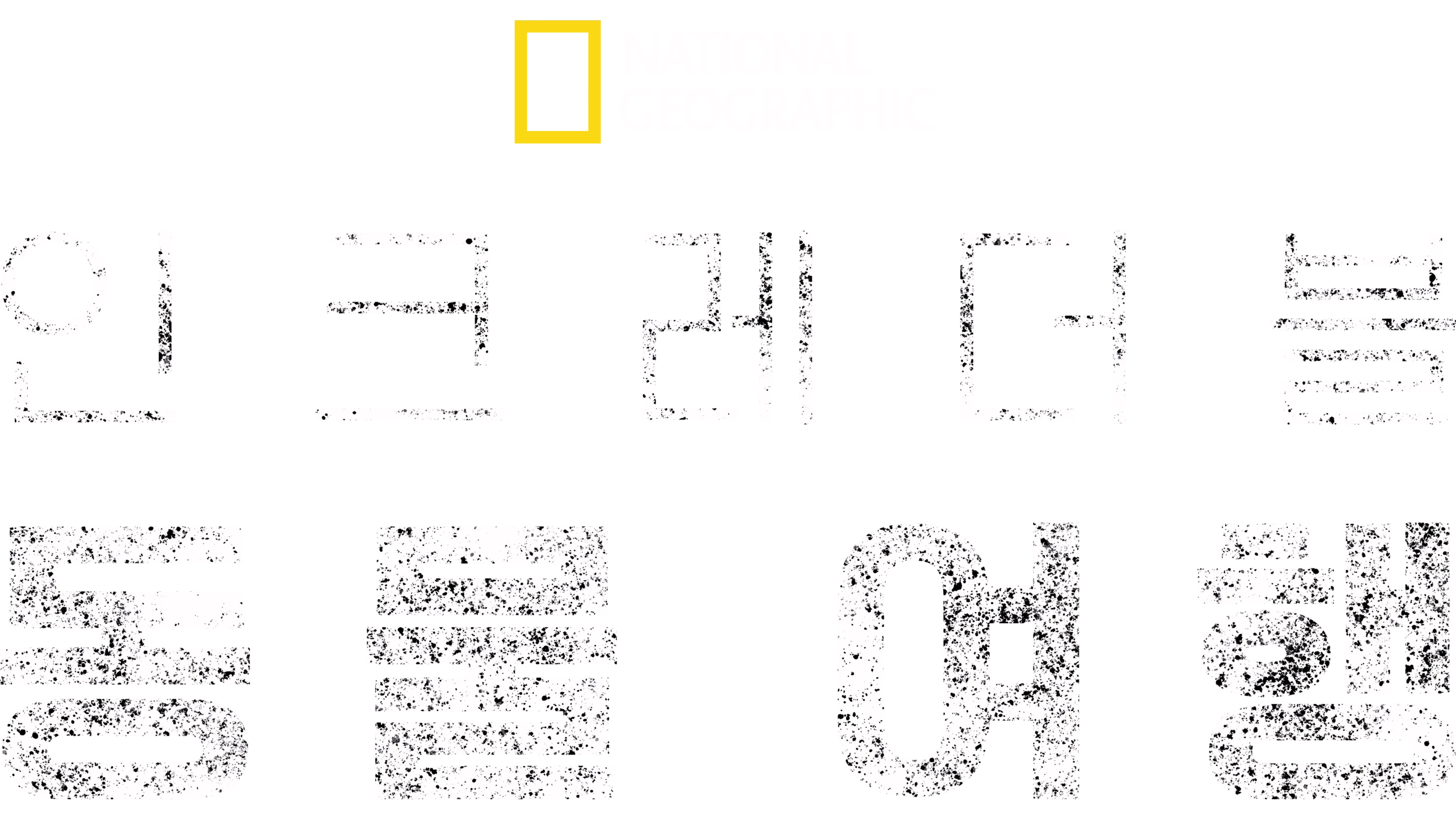 인크레더블 동물 여행