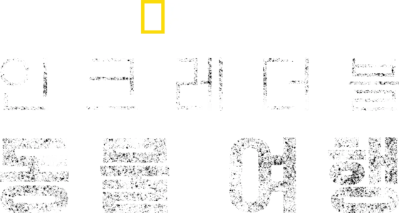 인크레더블 동물 여행