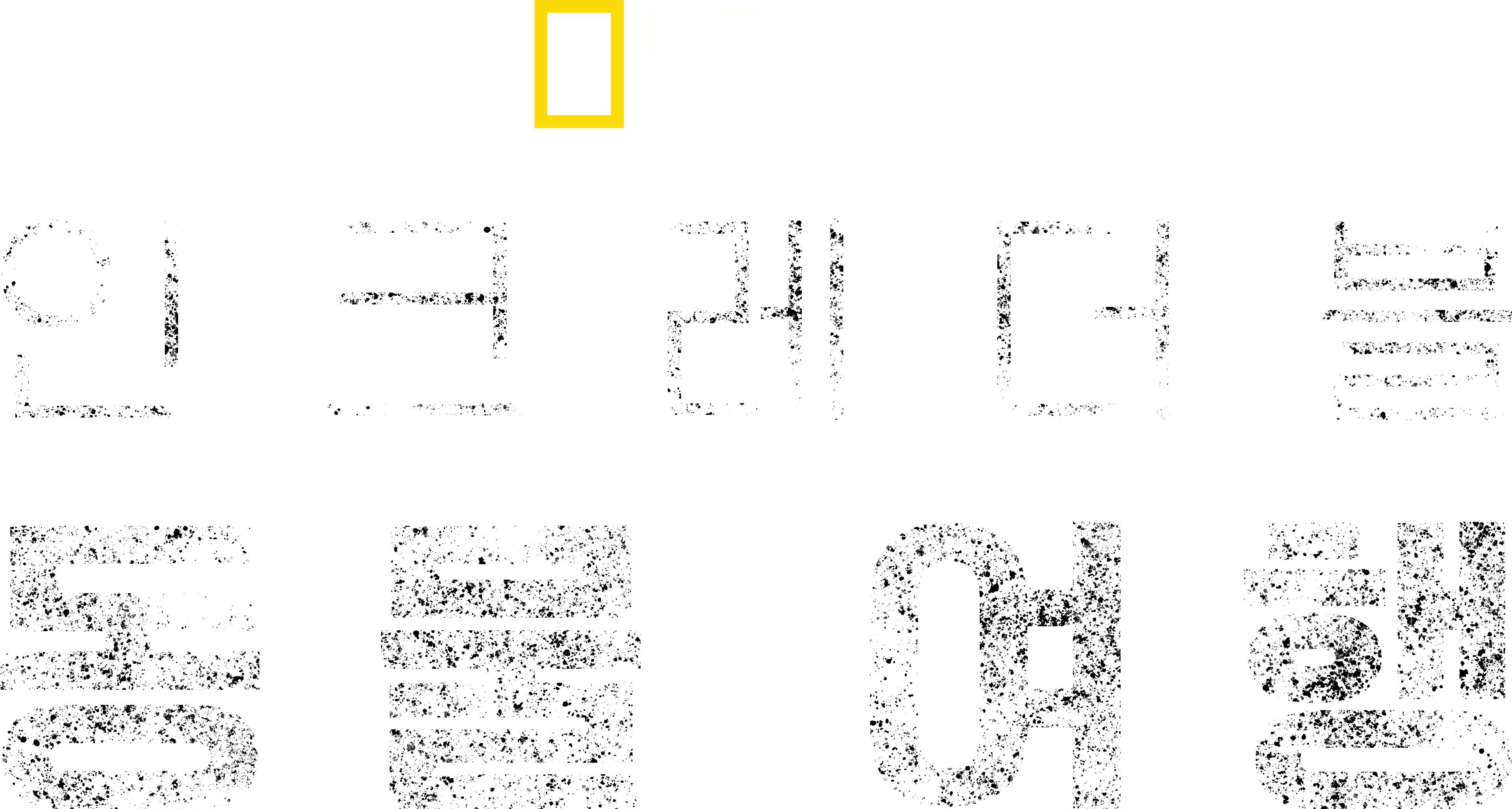 인크레더블 동물 여행