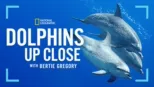 thumbnail - Dolphins Up Close with Bertie Gregory