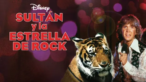 thumbnail - Sultán y la estrella de rock