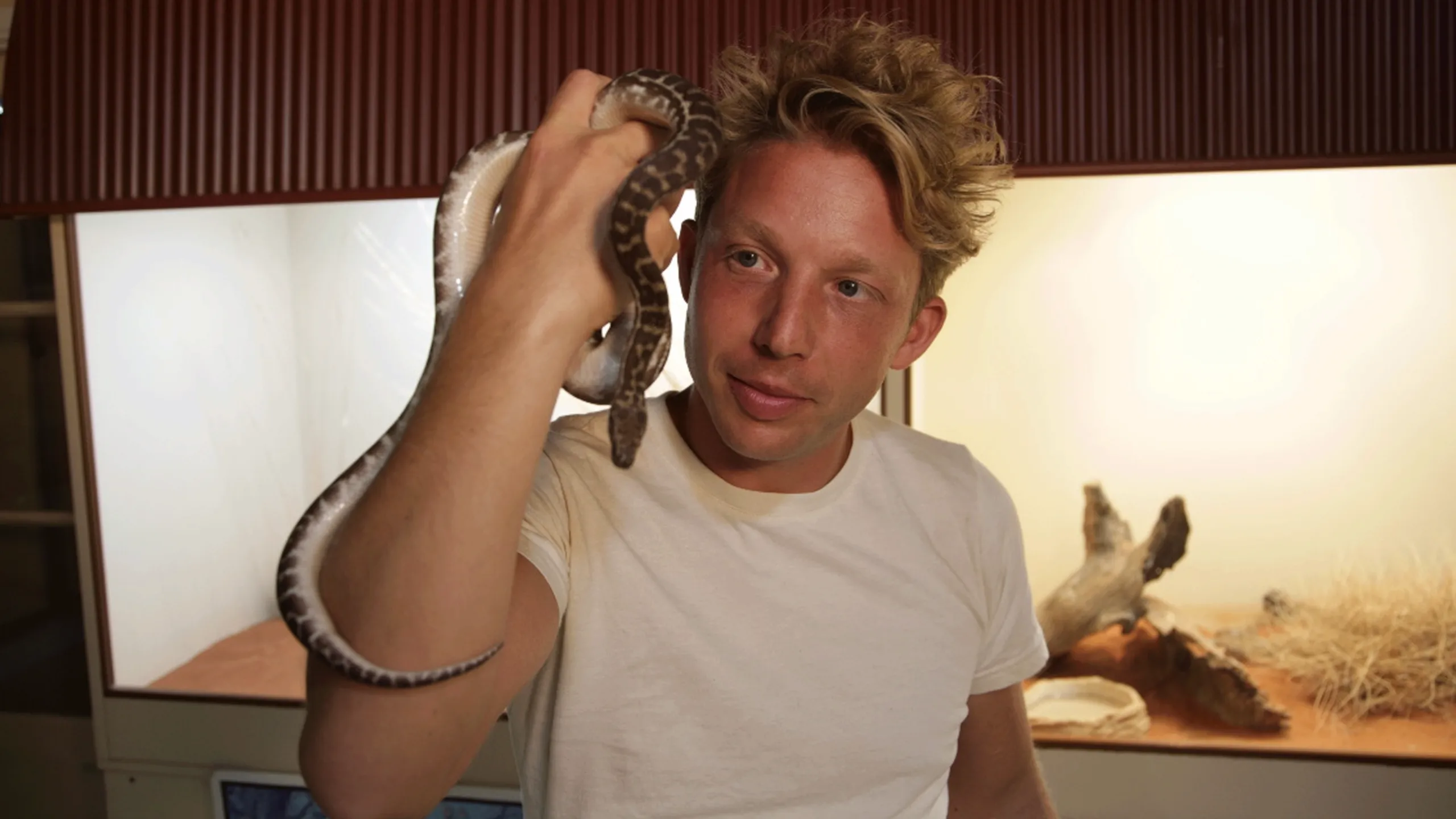 thumbnail - S1:E4 The Most Venomous Snakes In The World