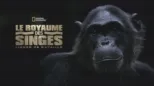 thumbnail - Le royaume des singes: Lignes de bataille
