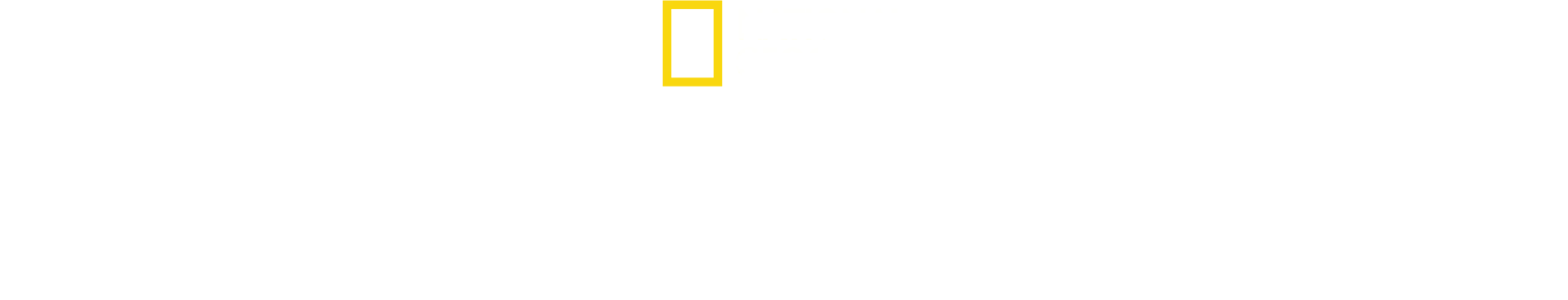 Köpekbalıkları Teknelere Karşı