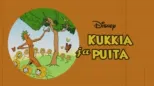 thumbnail - Kukkia ja puita