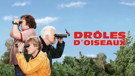 thumbnail - Drôles d'oiseaux