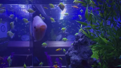 thumbnail - S4:E2 Learn to Love or Love to Learn