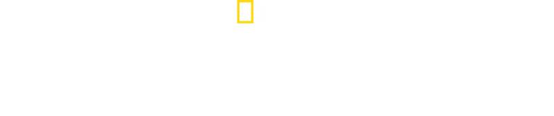 Ταξίδι στην Εδέμ των Καρχαριών