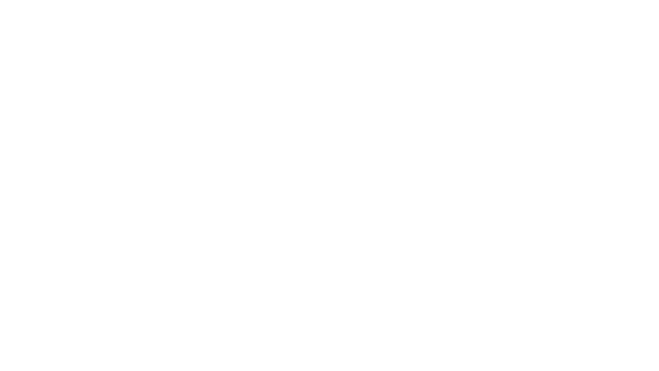 Coisas de Pássaros