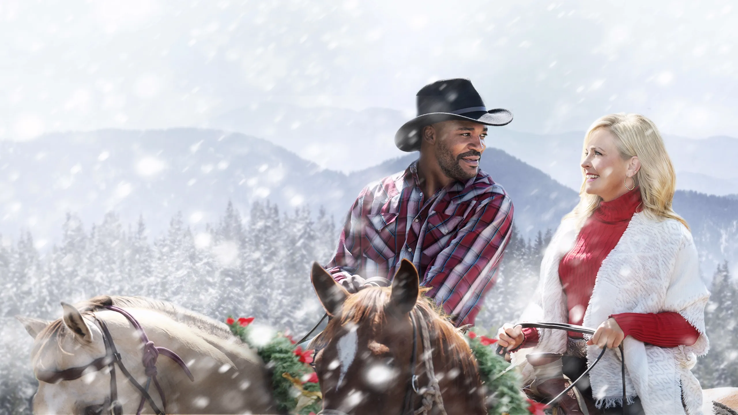 Mistletoe in Montana