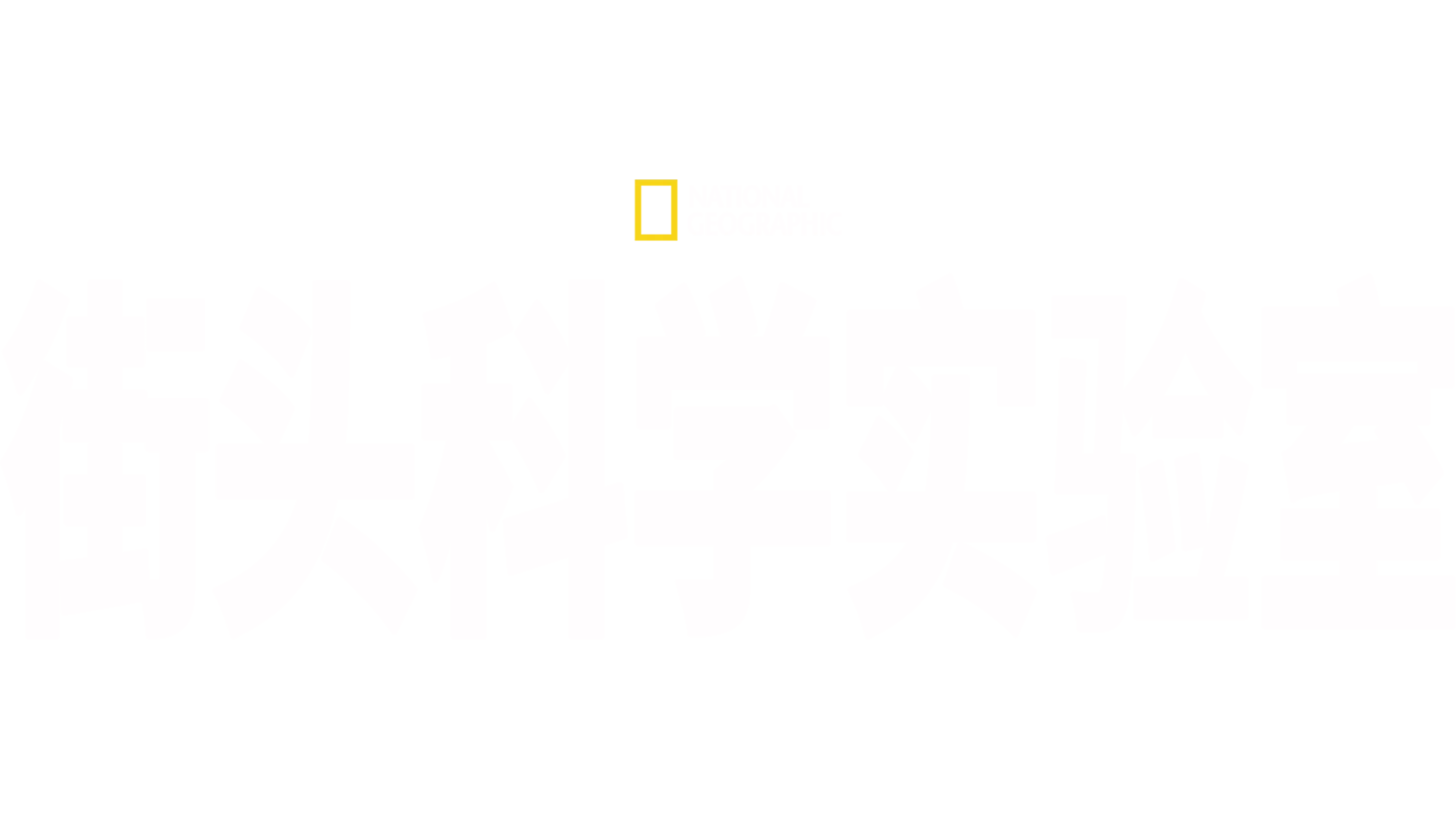 街头科学实验室
