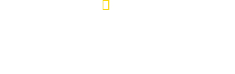 街头科学实验室
