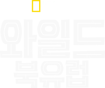 와일드 북유럽