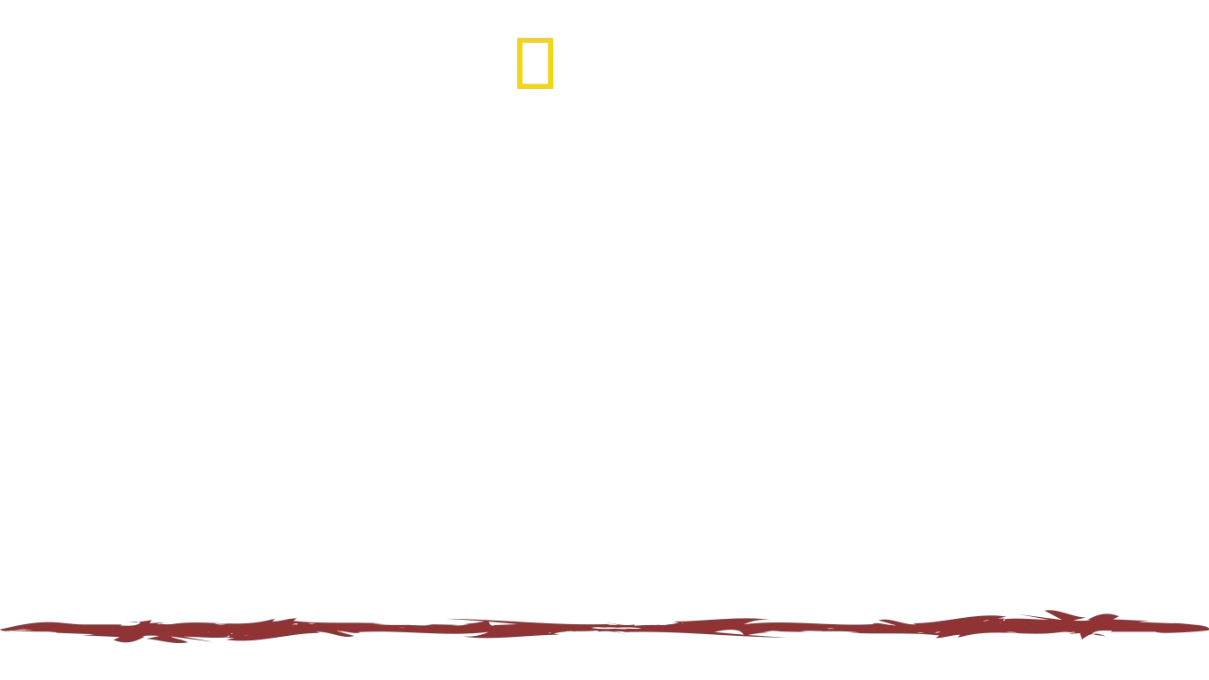 Extreme Survival mit Hazen Audel