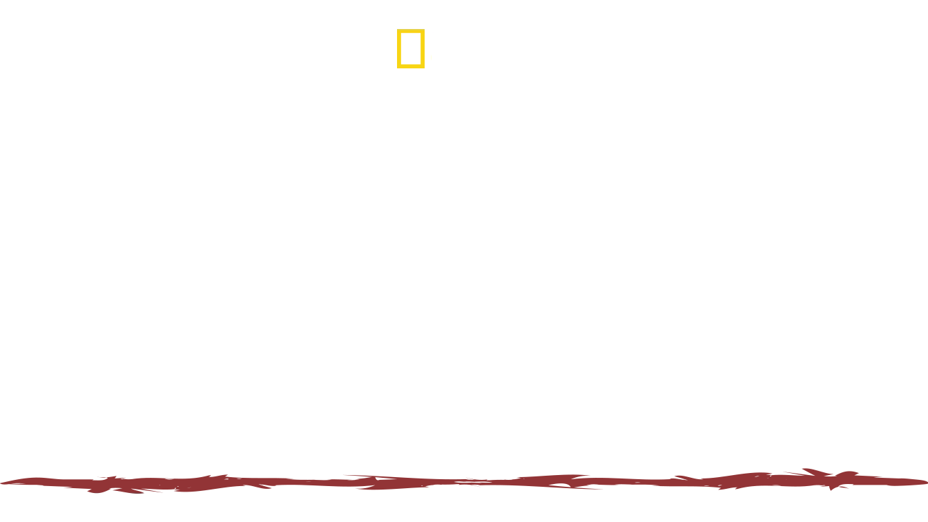Extreme Survival mit Hazen Audel