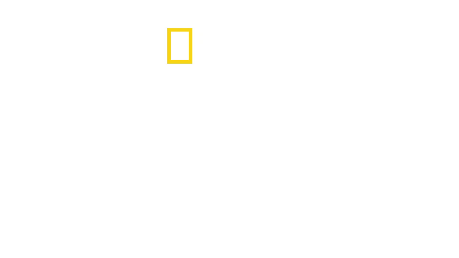 Sabores del mundo con Antoni Porowski