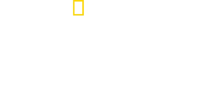 Sabores del mundo con Antoni Porowski
