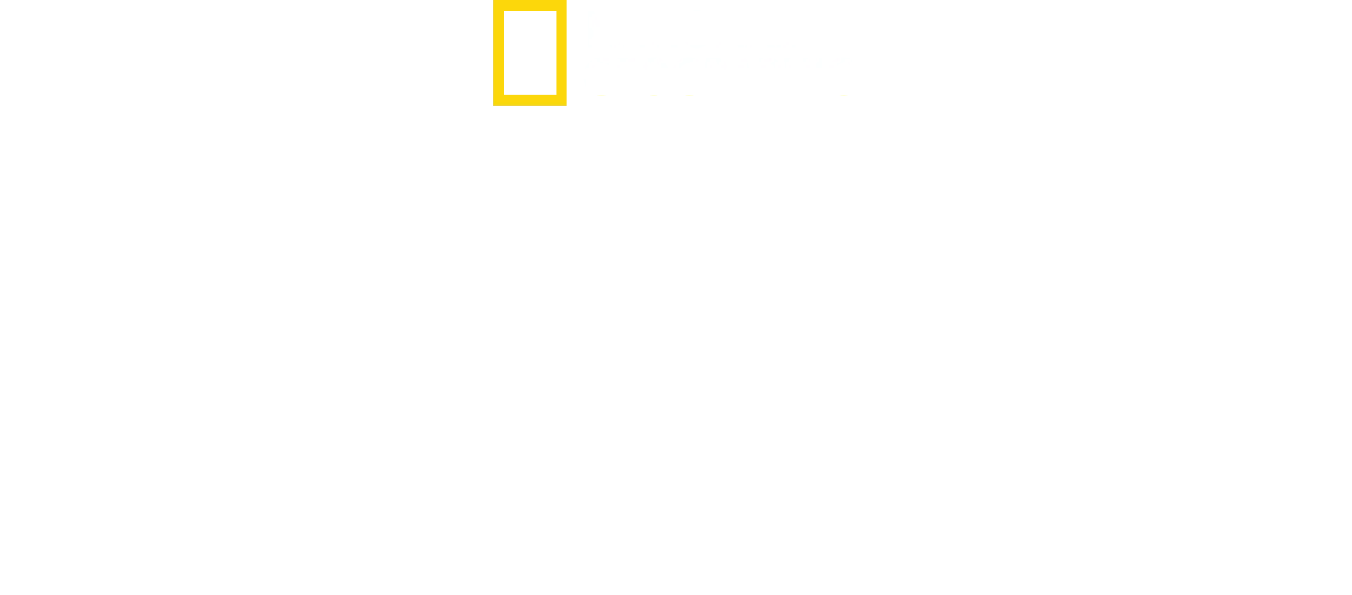Sabores del mundo con Antoni Porowski