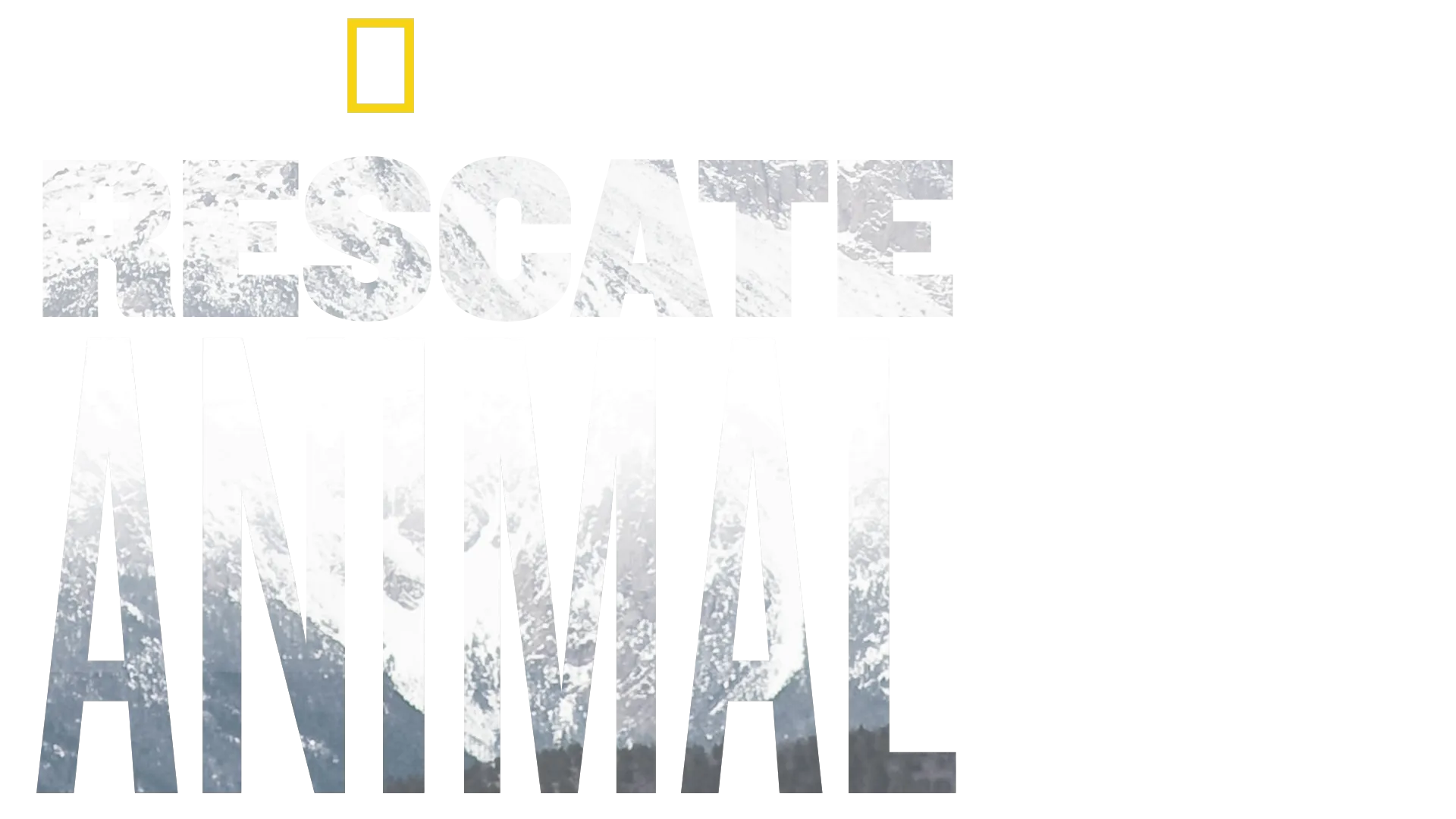 Rescate Animal