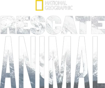 Rescate Animal