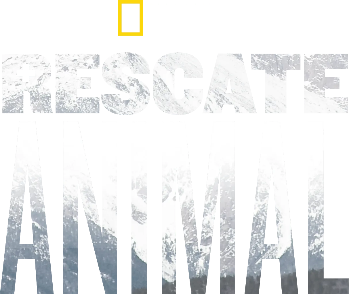 Rescate Animal