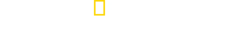Tufandan Önce