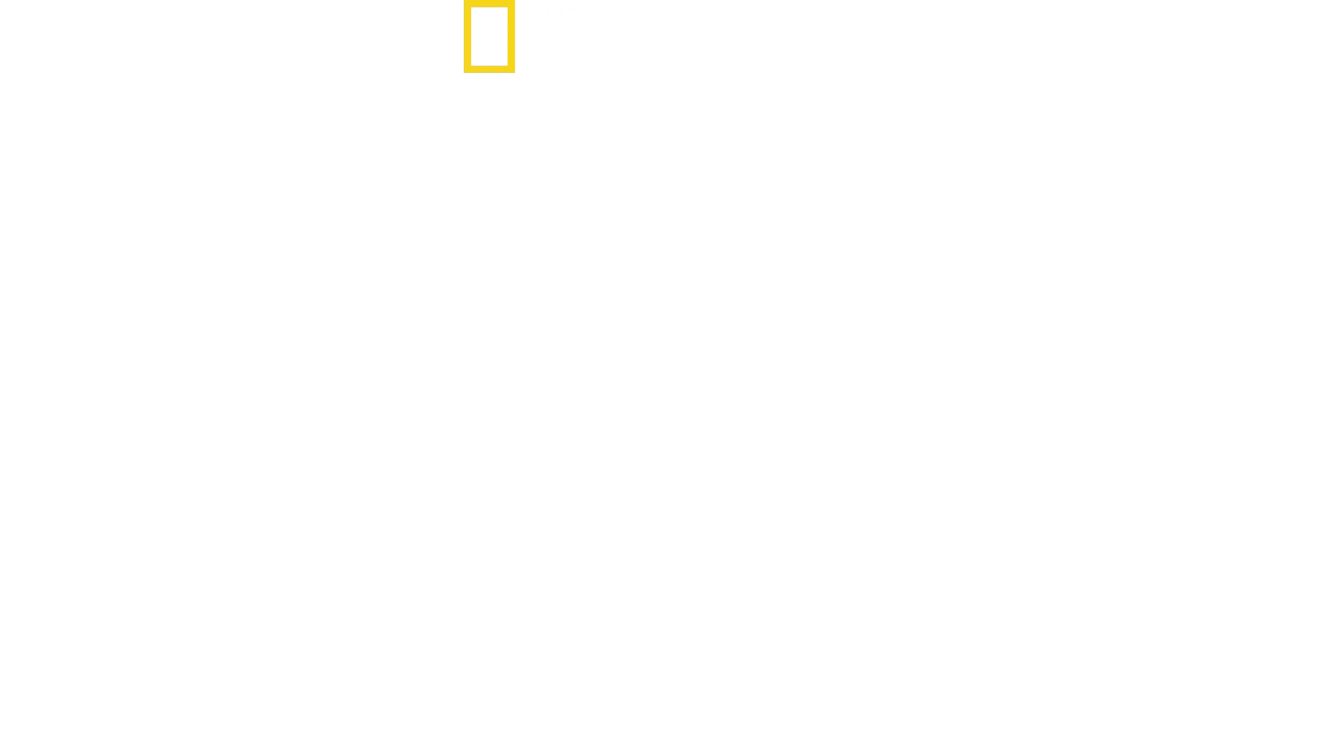 Nordkorea hautnah: Die Kim-Dynastie