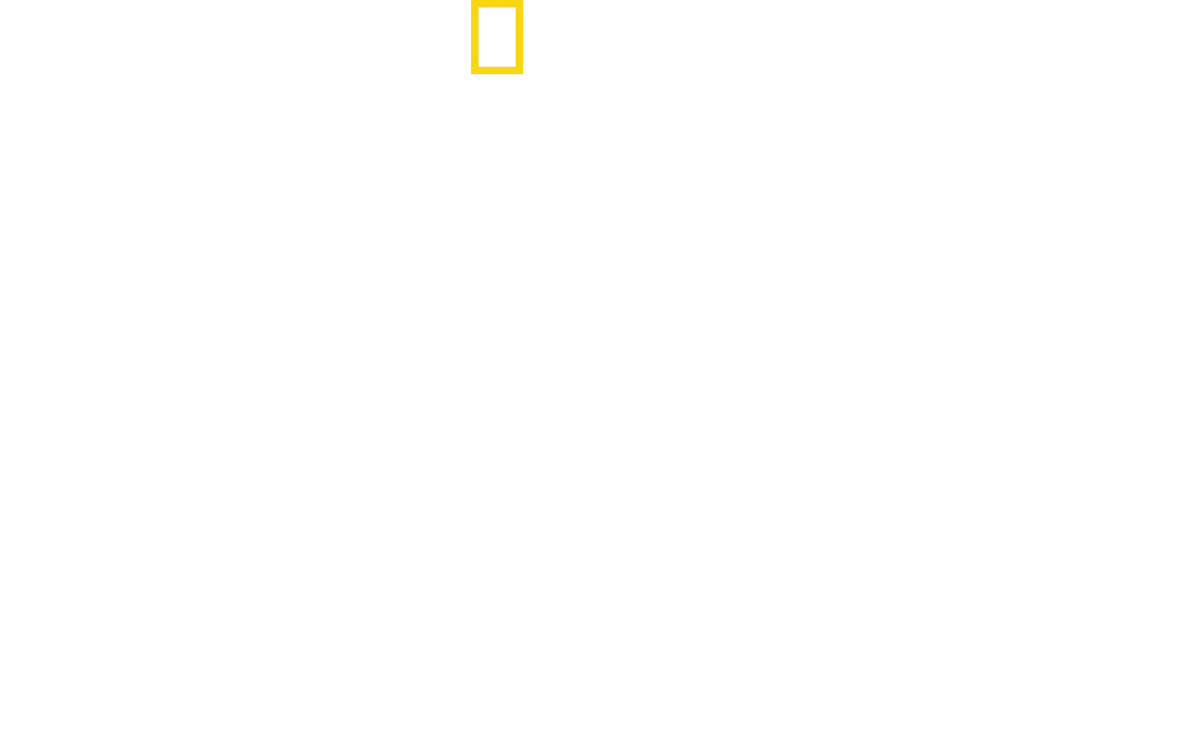 Nordkorea hautnah: Die Kim-Dynastie