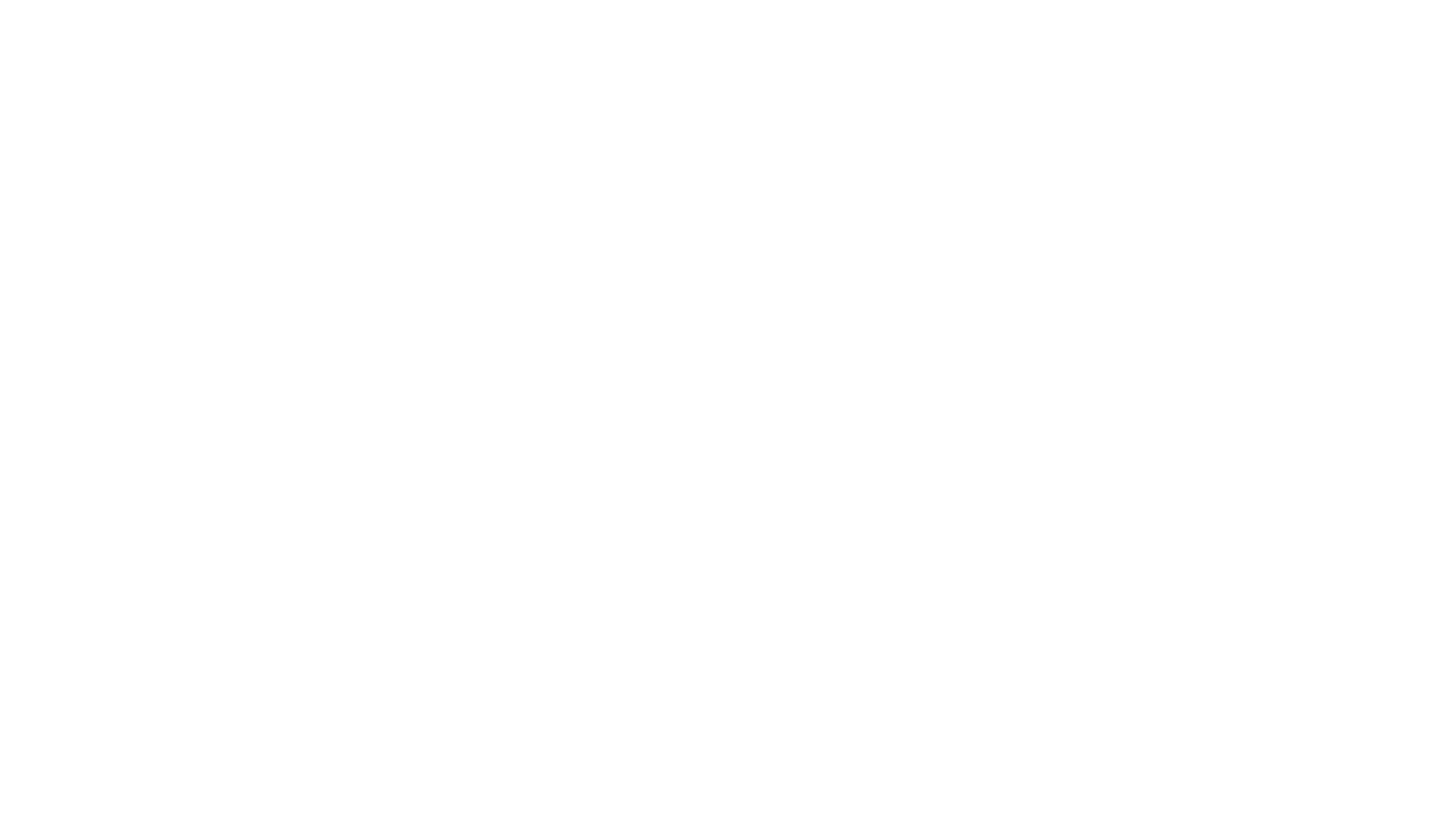 In falschen Händen
