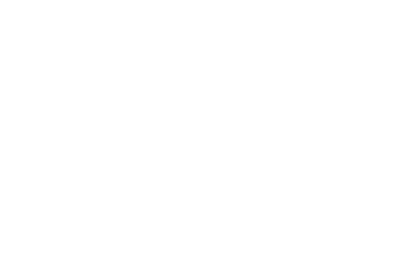 In falschen Händen