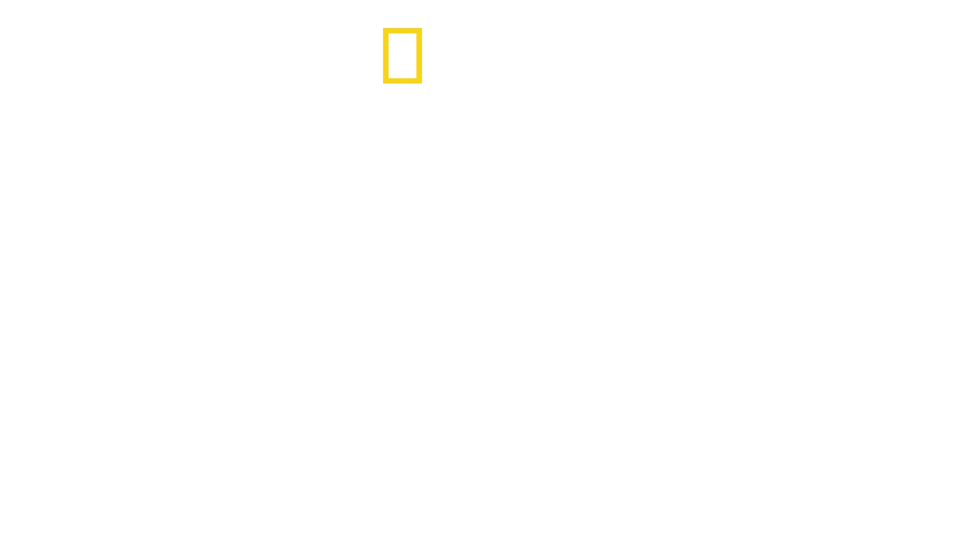 Stanfordský vězeňský experiment: Hledání pravdy