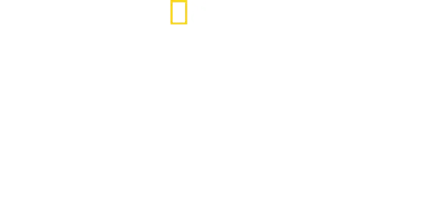 Stanfordský vězeňský experiment: Hledání pravdy