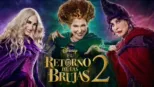 thumbnail - El retorno de las brujas 2