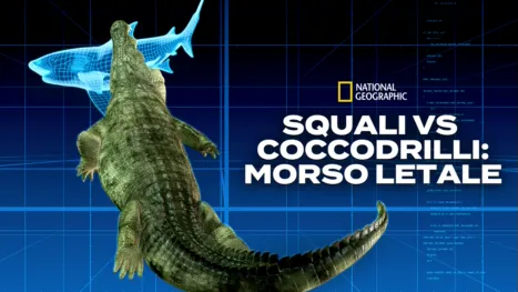 thumbnail - Squali vs Coccodrilli: morso letale