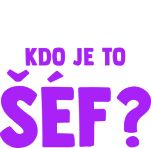 Vidlík má otázečku: Kdo je to šéf?