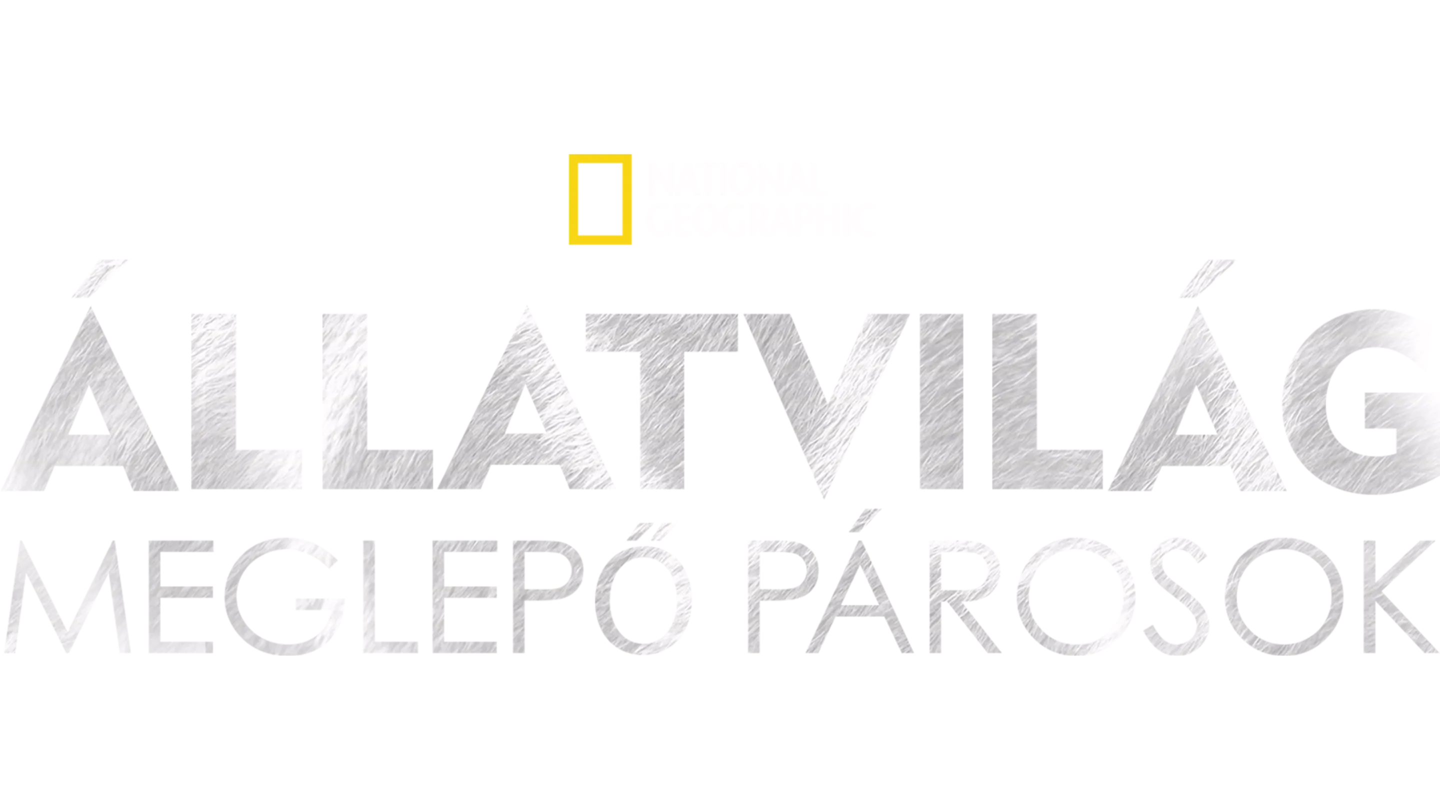 Állatvilág: meglepő párosok